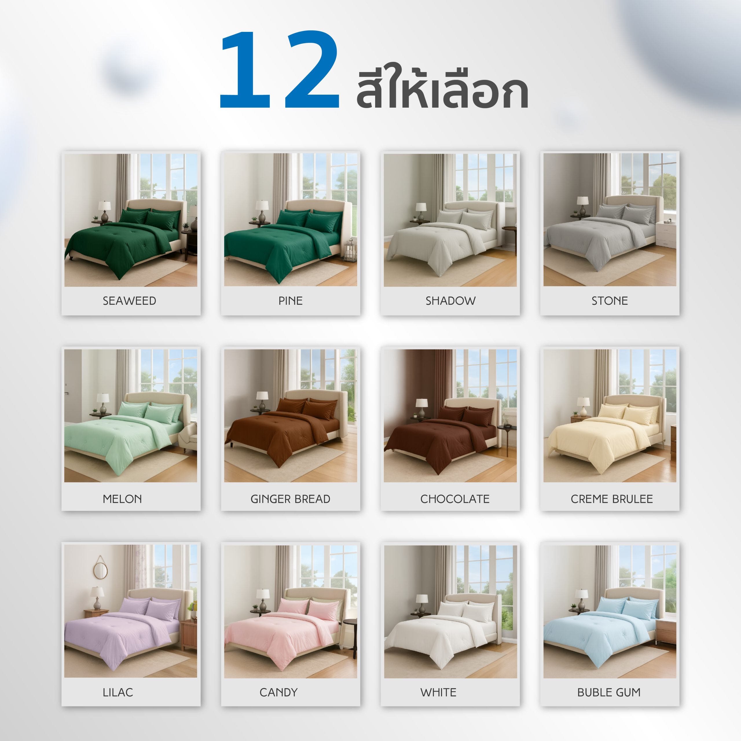 messageImage_1767412464989123-01asd-01